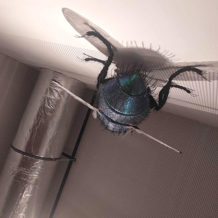 F.L.Y.O.M - exhibition of Kiril Vasilev